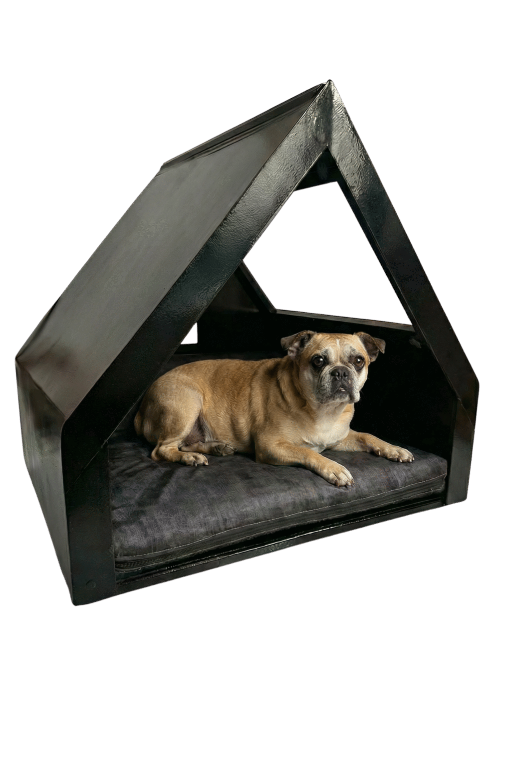 ALTUS COLLECTION franchesca 6