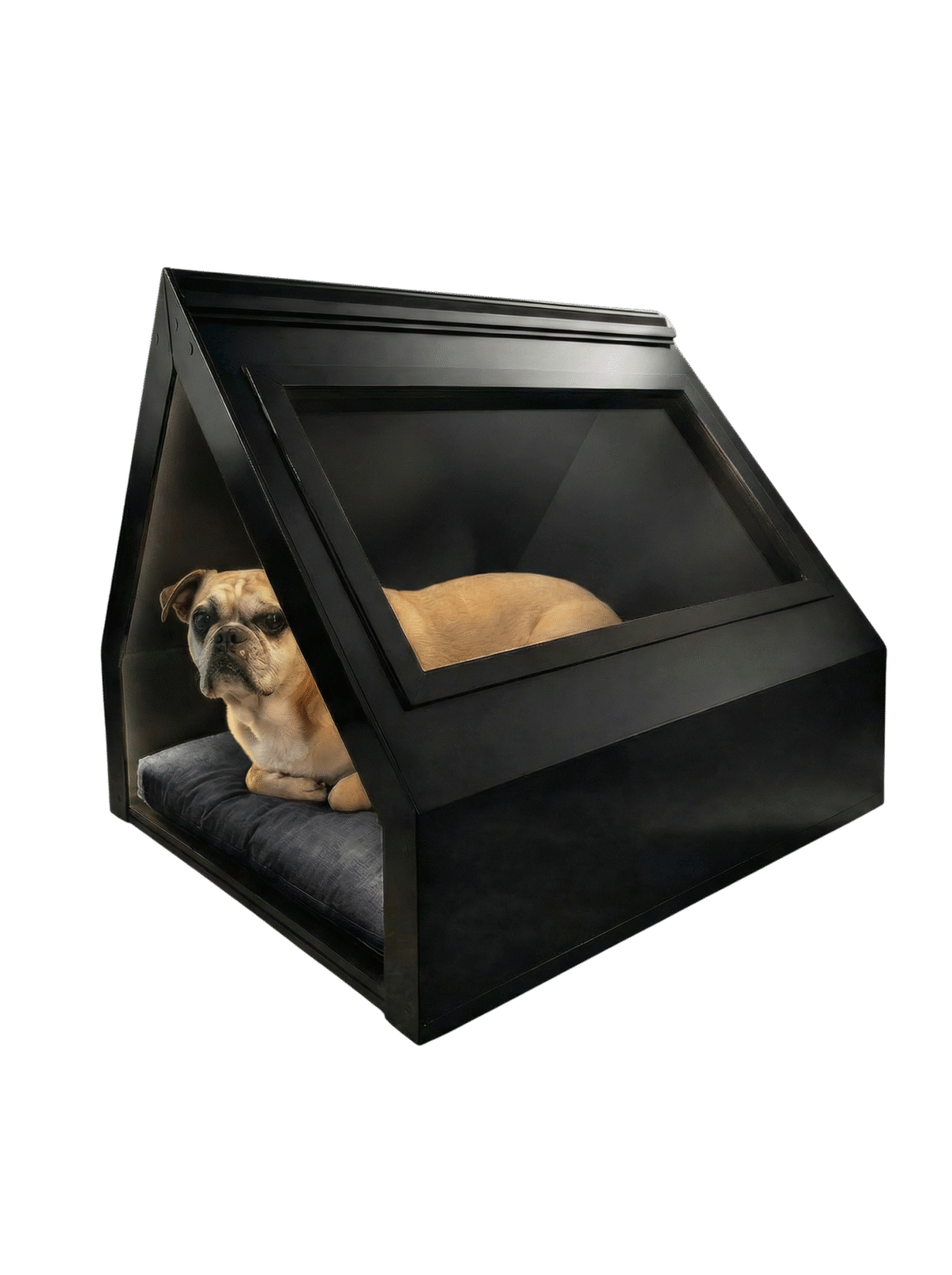 franchesca lateral 2