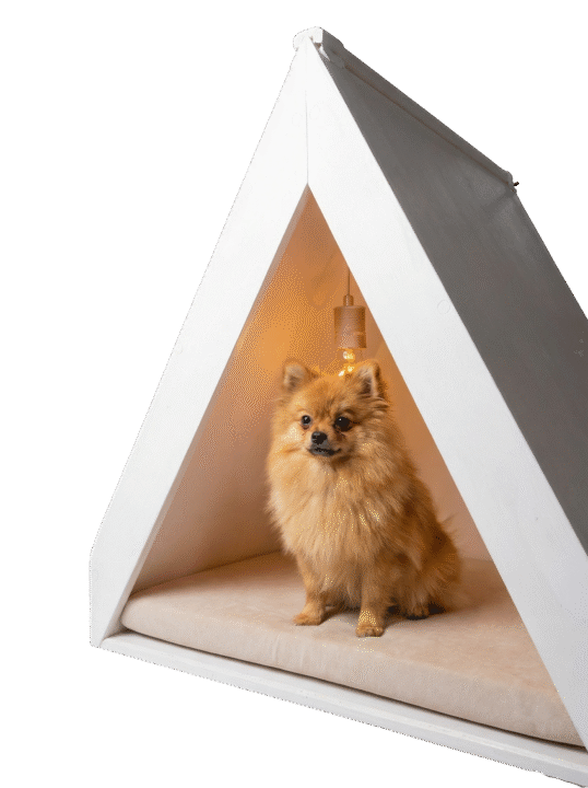 gran formato trinity