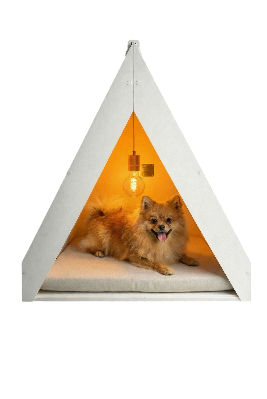 ALTUS COLLECTION pomerania sin sf