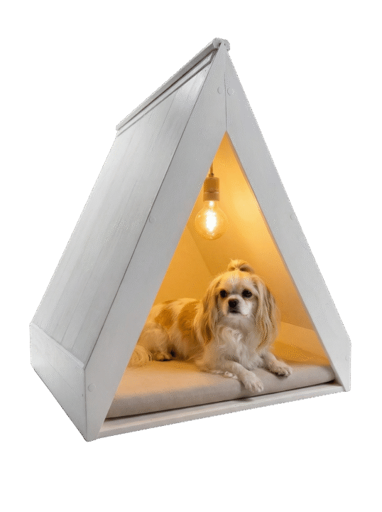 shih shu para un lado